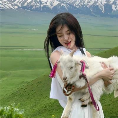 驯鹿游戏